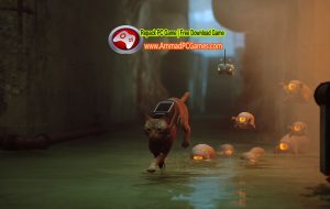 Stray v1.0 With Path 