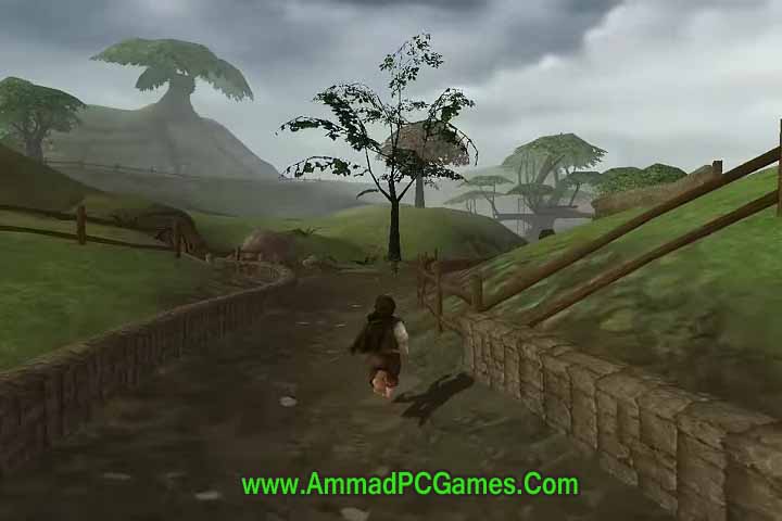 The Lord Of The Rings - Fellowship Of The Ring With Patch