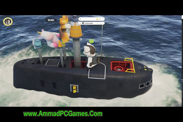 **Technical Setup Details:**