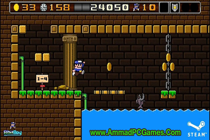 Technical Setup Details: