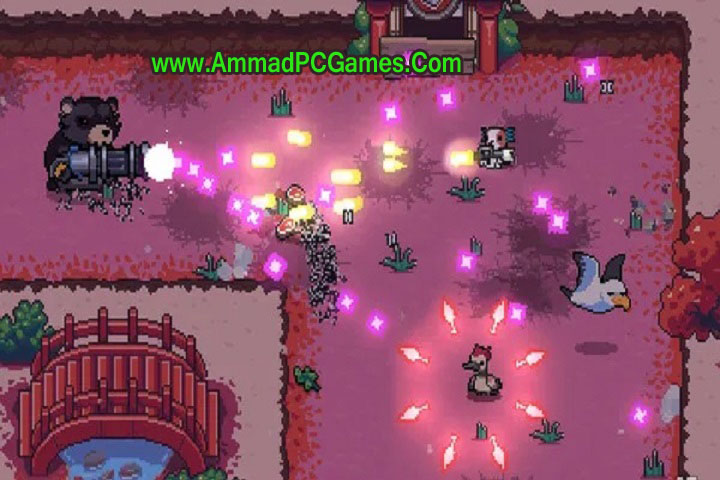 Technical Setup Details